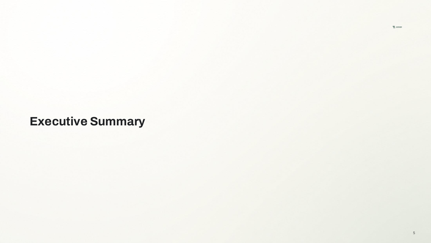 Executive Summary — Section divider