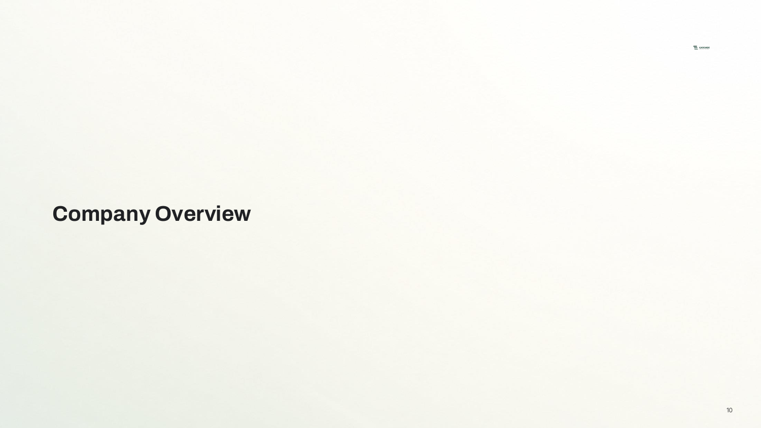 Company Overview — Section divider